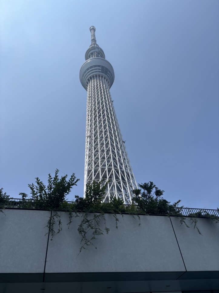暑い日に涼しいスポット【すみだ水族館】