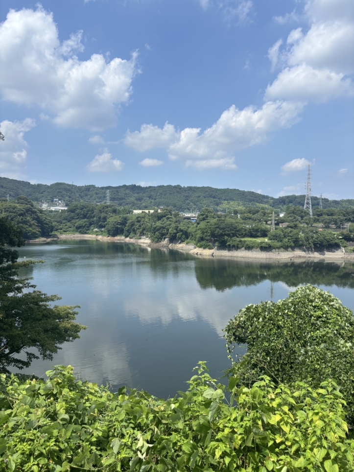 津久井湖も見てきました！