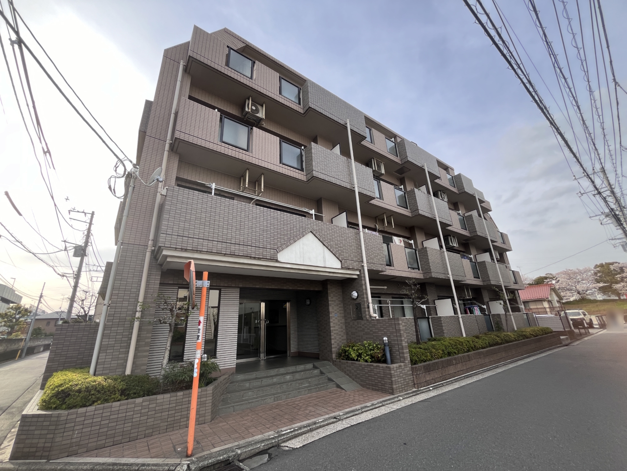 全室洋室◎　小型犬、猫の飼育相談が可能です🐈🐾　ビューネ綱島樽町　301号室