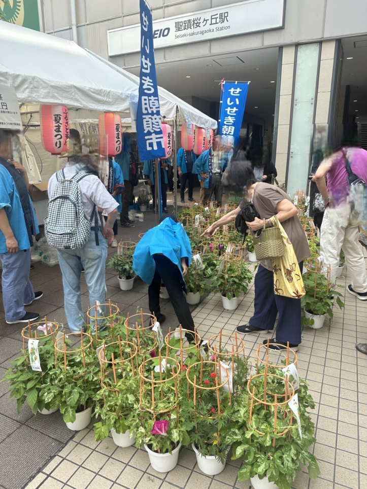 せいせき朝顔市　多摩市☆イベント☆