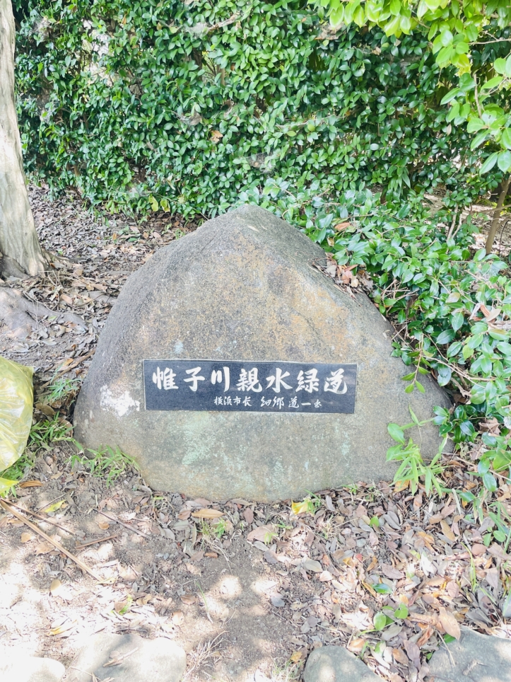 【旭区】帷子川親水緑地