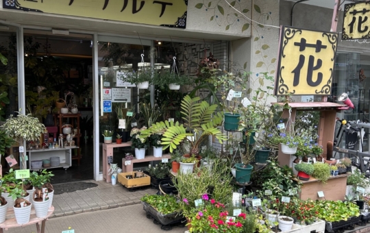 イチオシ！狛江の花屋さん【花屋クラルテ】