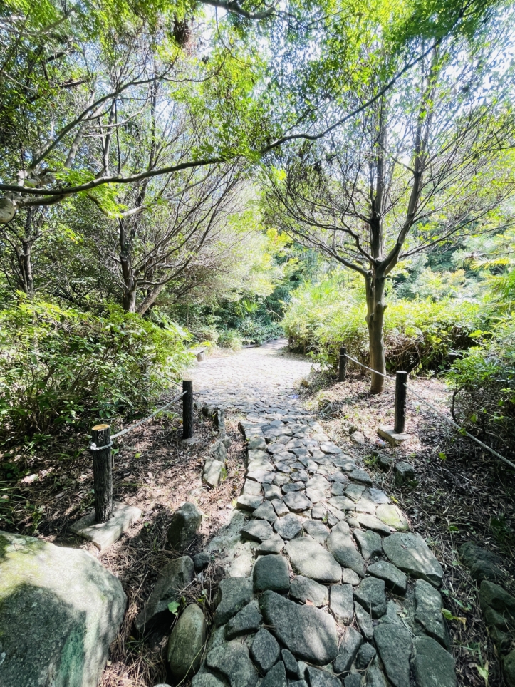 【旭区】帷子川親水緑地
