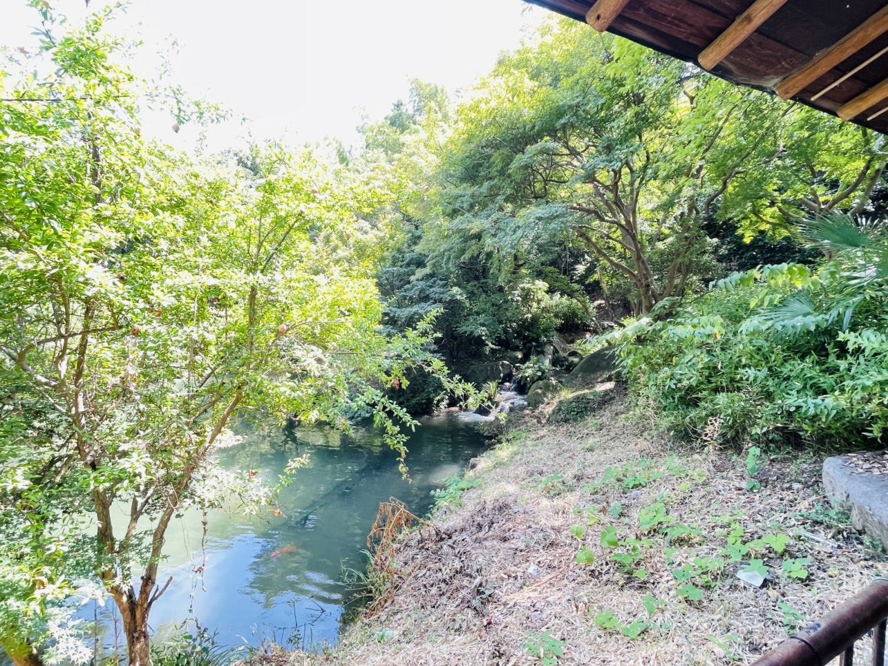 【旭区】帷子川親水緑地