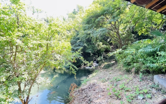【旭区】帷子川親水緑地