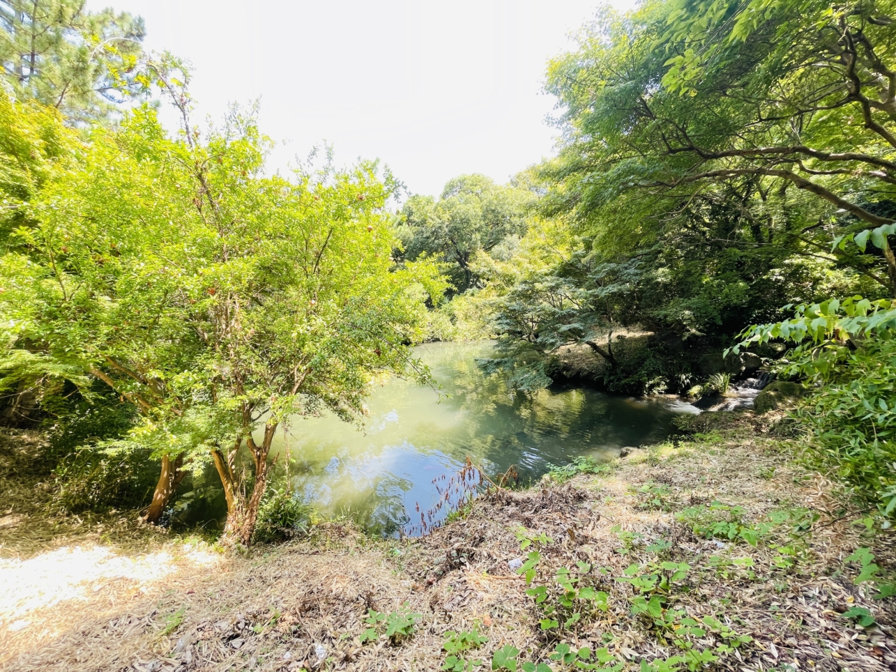 【旭区】帷子川親水緑地