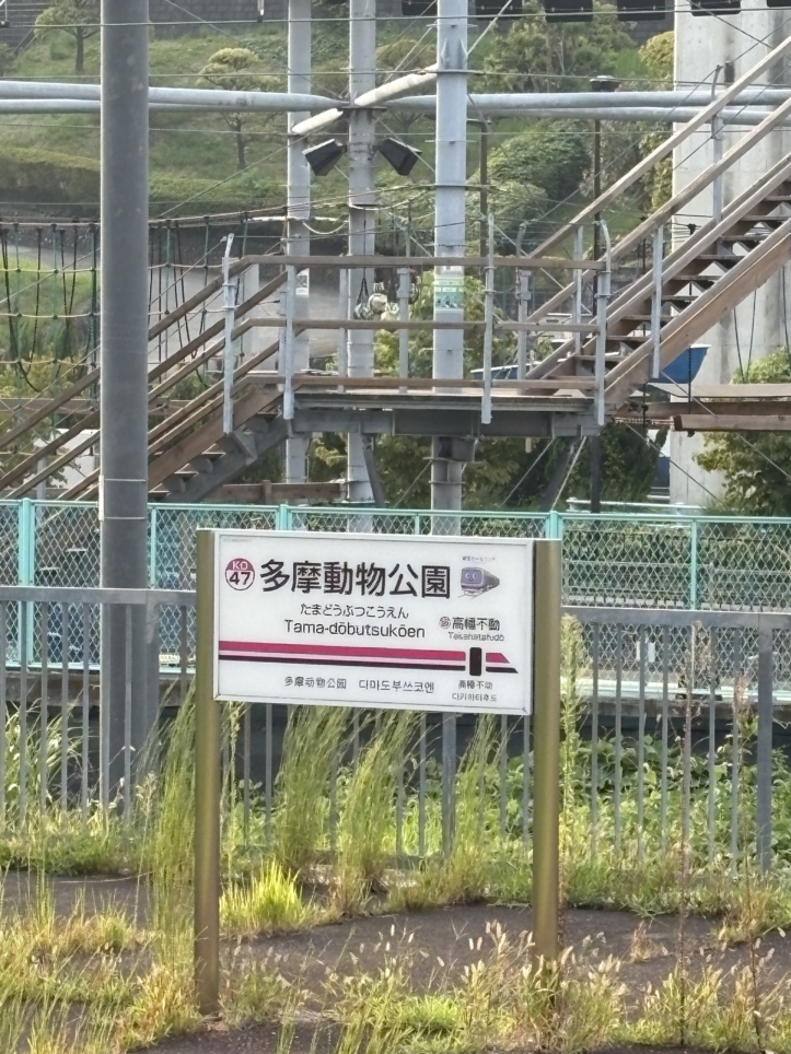 見上げれば多摩モノレールが見れちゃいます♪