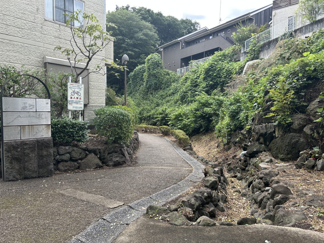 暑い夏に緑のカーテン☀三ツ沢せせらぎ緑道のご紹介です。
