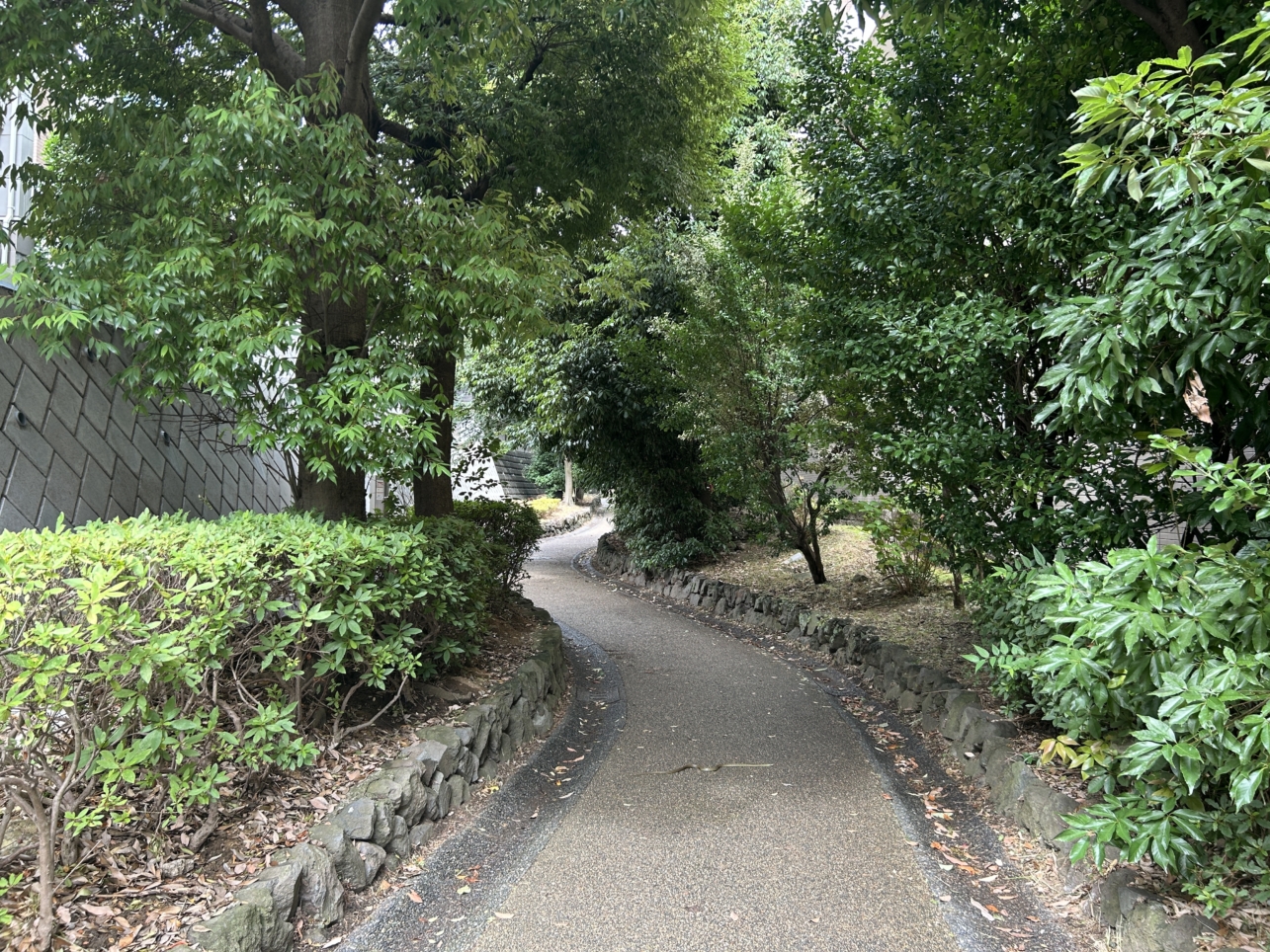 暑い夏に緑のカーテン☀三ツ沢せせらぎ緑道のご紹介です。