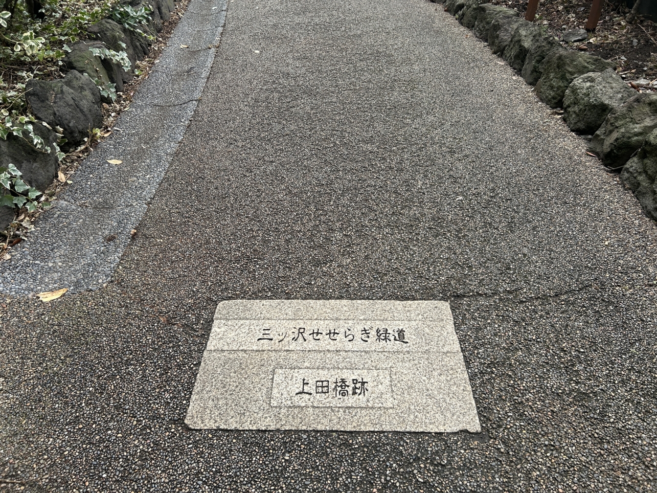 暑い夏に緑のカーテン☀三ツ沢せせらぎ緑道のご紹介です。