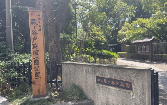 都会の暑さを忘れる、駅近の避暑地！【殿ヶ谷戸庭園】