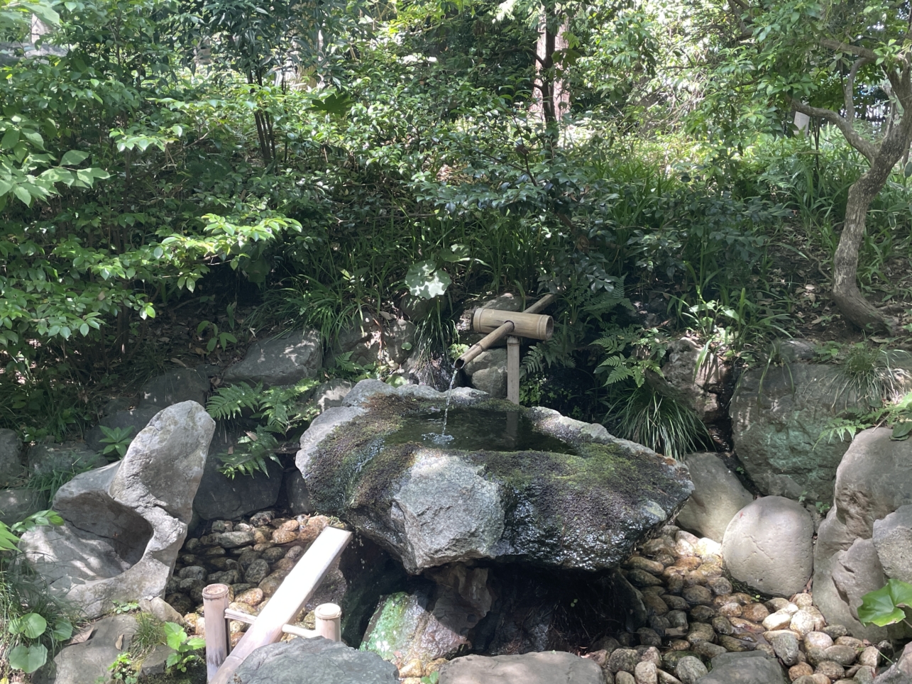 都会の暑さを忘れる、駅近の避暑地！【殿ヶ谷戸庭園】