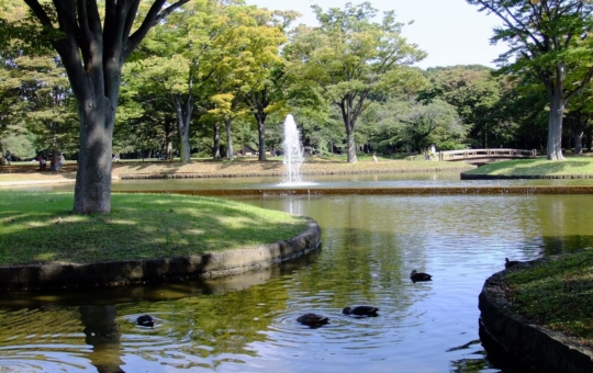 大人気デートスポット【代々木公園】☆