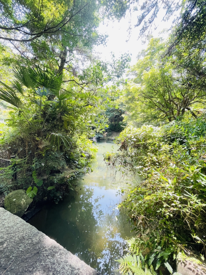 【旭区】帷子川親水緑地