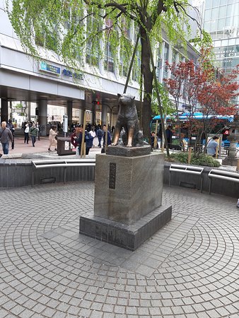 渋谷スクランブル交差点の近くにある【ハチ公前広場】！