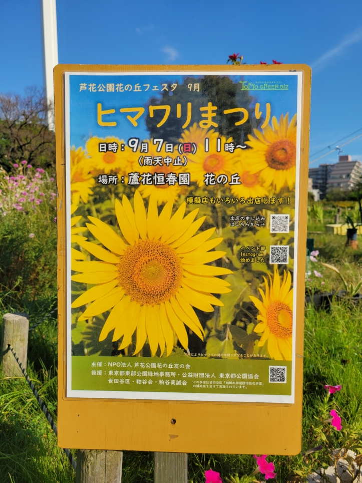 芦花公園花の丘フェスタ🌻【ヒマワリまつり】