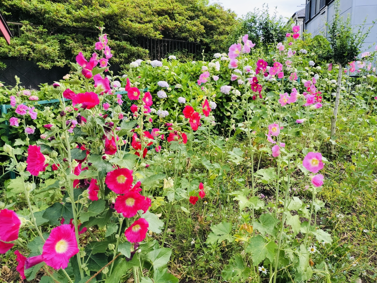 和田の花咲か六地蔵