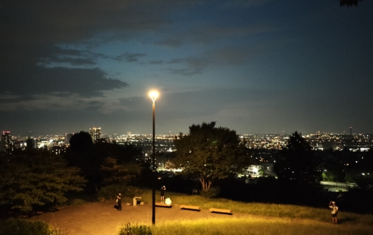 ノスタルジックな多摩の夜景を一望あれ【ゆうひの丘】