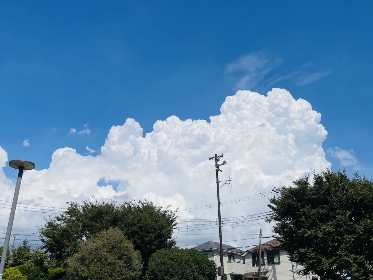 【藤沢市】夏のなごり