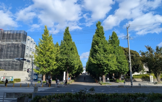 銀杏並木（日吉駅）