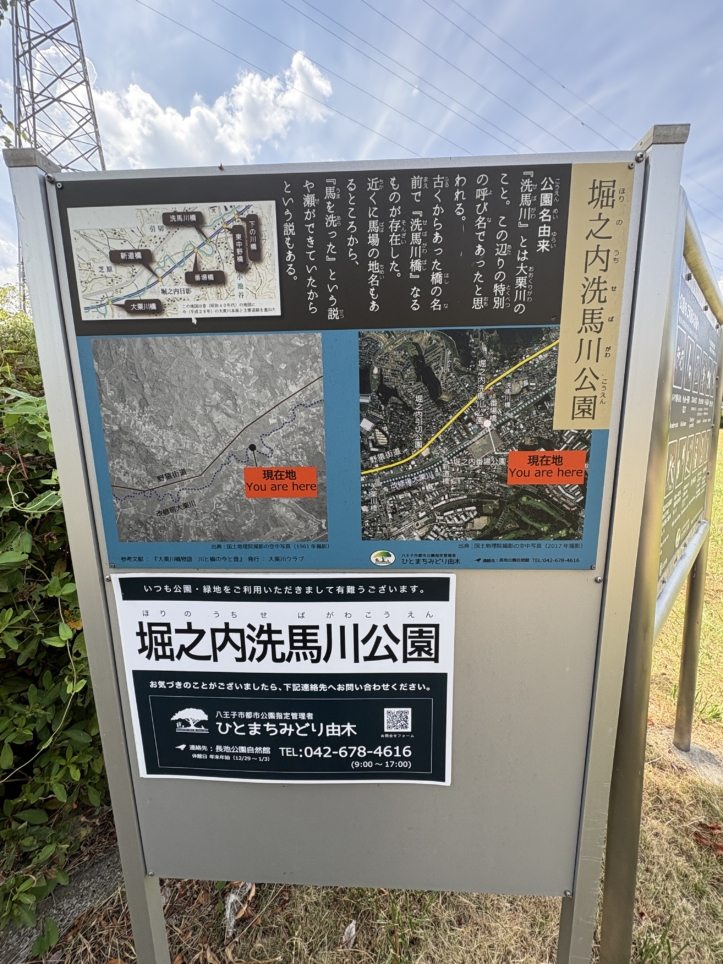 堀之内駅から川沿いでのお散歩がお勧めです☆
