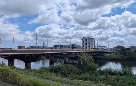 鶴見川（綱島駅）