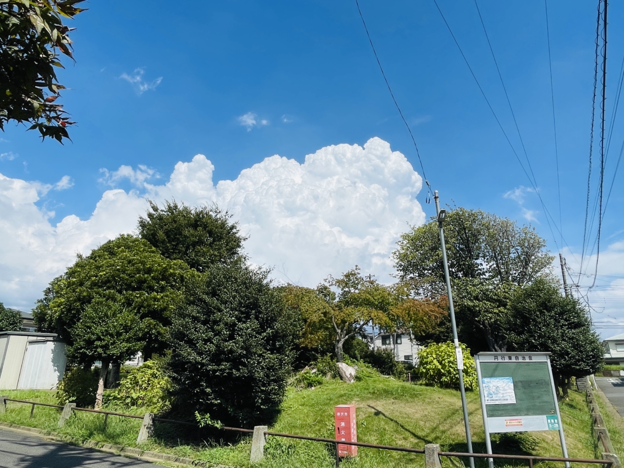 【藤沢市】夏のなごり