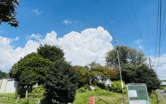 【藤沢市】夏のなごり