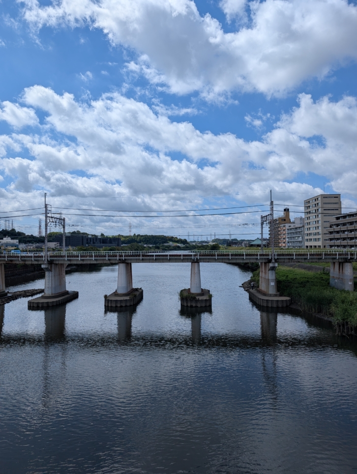 鶴見川（綱島駅）