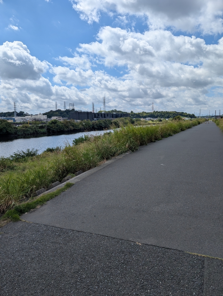 鶴見川（綱島駅）