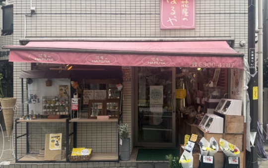 ☆花屋～花屋のはるや～下高井戸☆