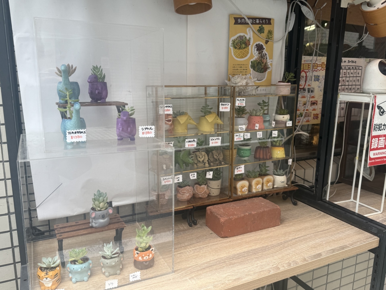 ☆花屋～花屋のはるや～下高井戸☆