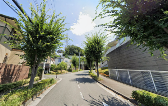 栗平の並木道🍂