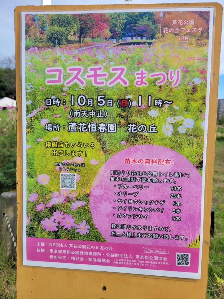 芦花公園花の丘フェスタ🌼【コスモスまつり】