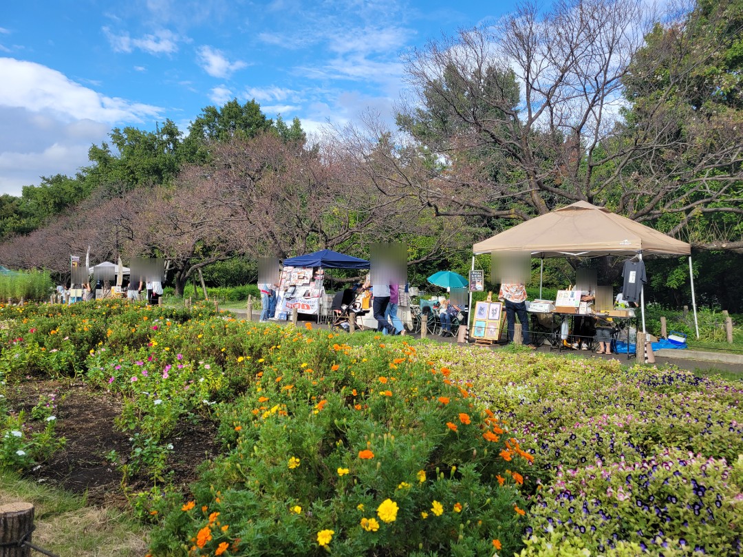 芦花公園花の丘フェスタ🌼【コスモスまつり】