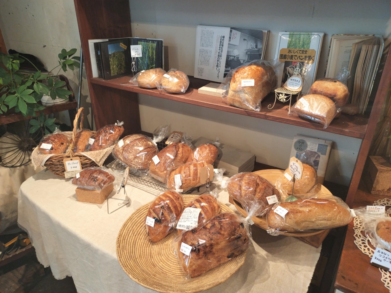 天然酵母のパン屋さん【木のひげ】