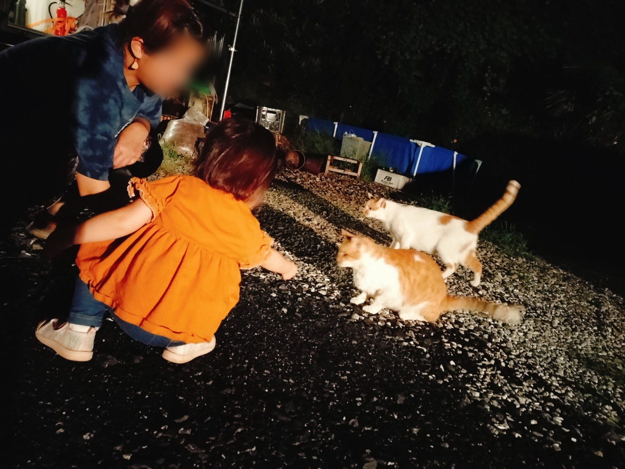 お手軽キャンプ気分【焚火カフェ山】