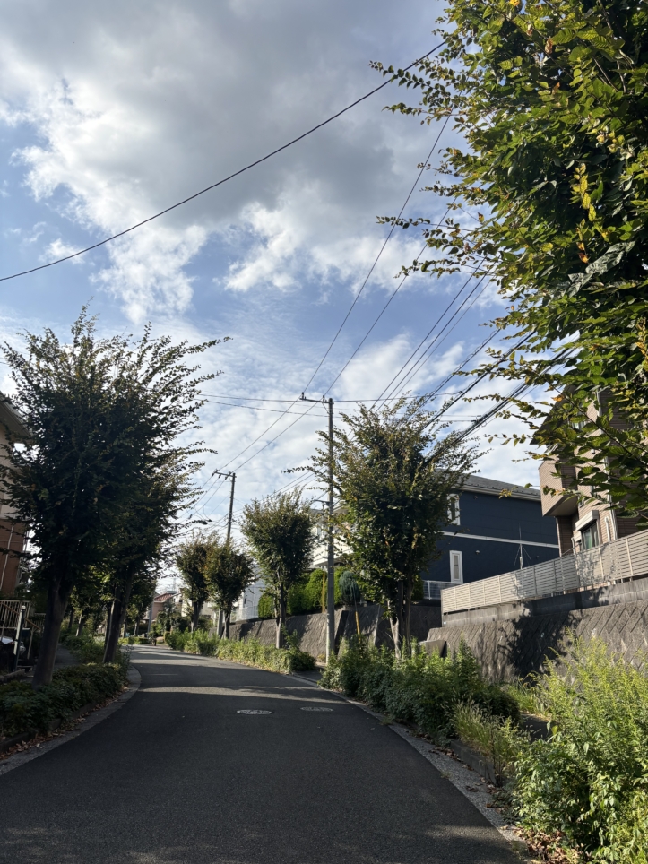 栗平の並木道🍂
