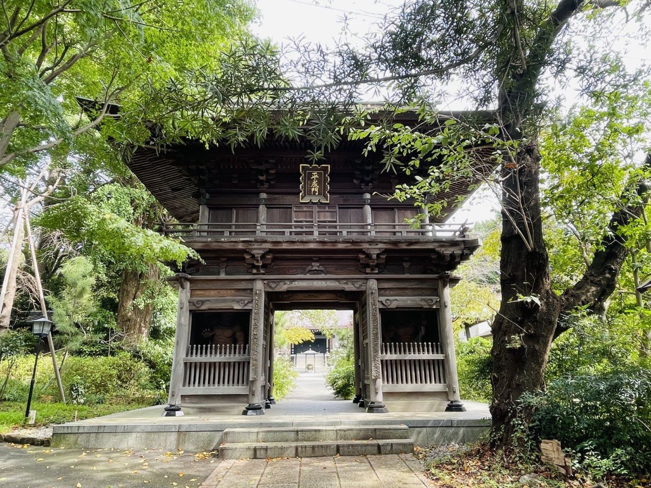 【瀬谷区】徳善寺