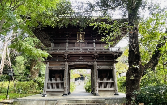 【瀬谷区】徳善寺