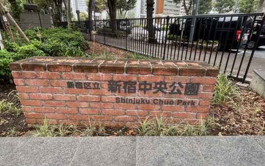 都会のど真ん中とは思えない【新宿中央公園】