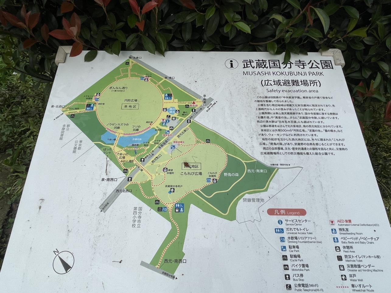 国分寺市民の憩いの公園【都立　武蔵野国分寺公園】
