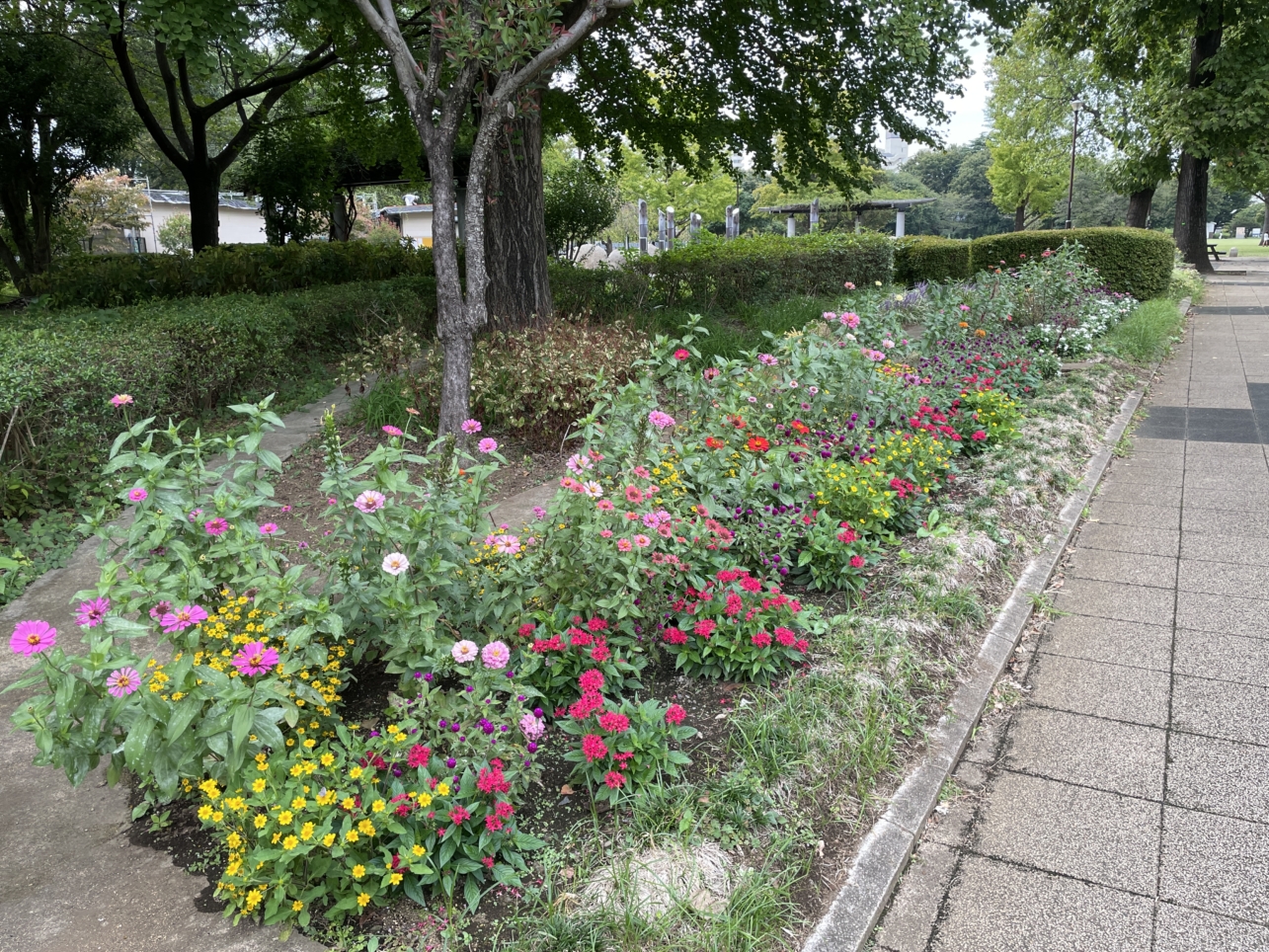 国分寺市民の憩いの公園【都立　武蔵野国分寺公園】