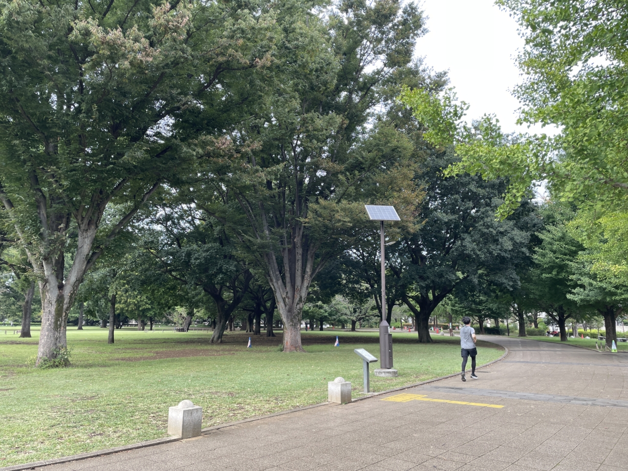 国分寺市民の憩いの公園【都立　武蔵野国分寺公園】