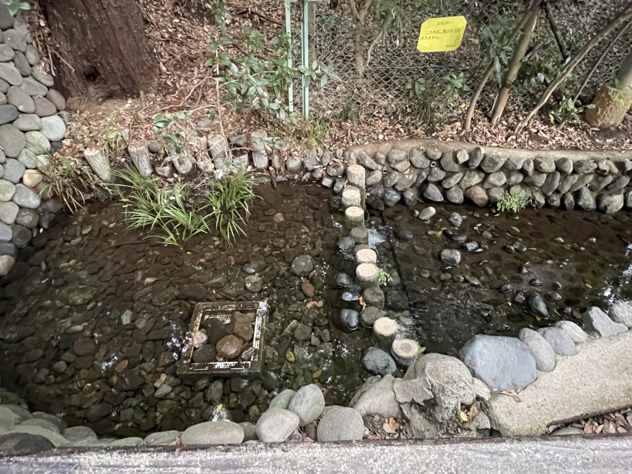 自然豊かな湧水と緑の散歩道　【お鷹の道・真姿の池湧水群】