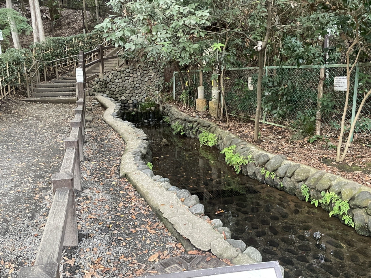 自然豊かな湧水と緑の散歩道　【お鷹の道・真姿の池湧水群】
