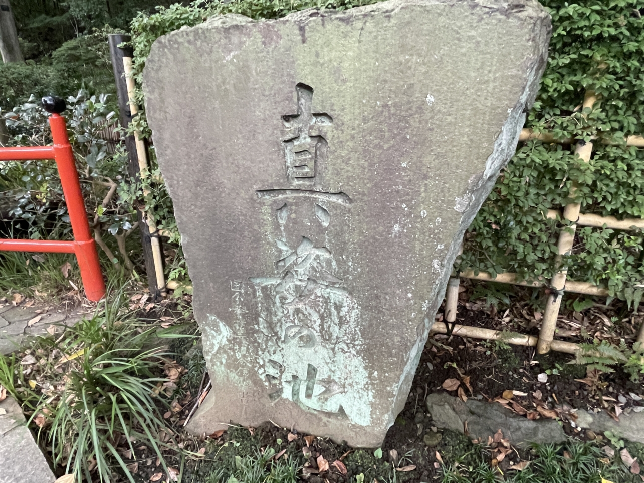 自然豊かな湧水と緑の散歩道　【お鷹の道・真姿の池湧水群】