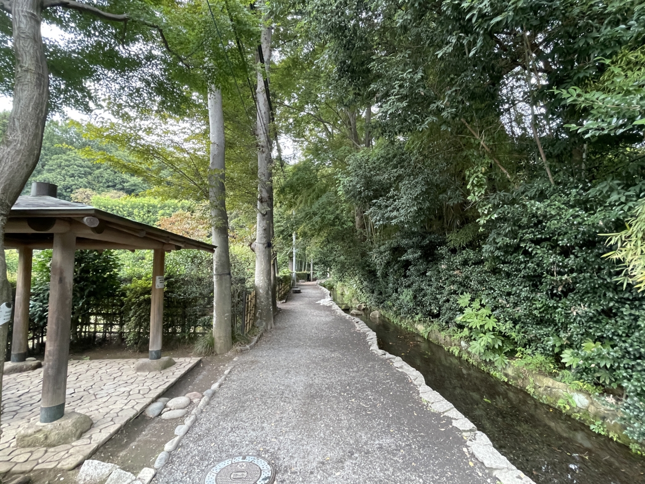 自然豊かな湧水と緑の散歩道　【お鷹の道・真姿の池湧水群】