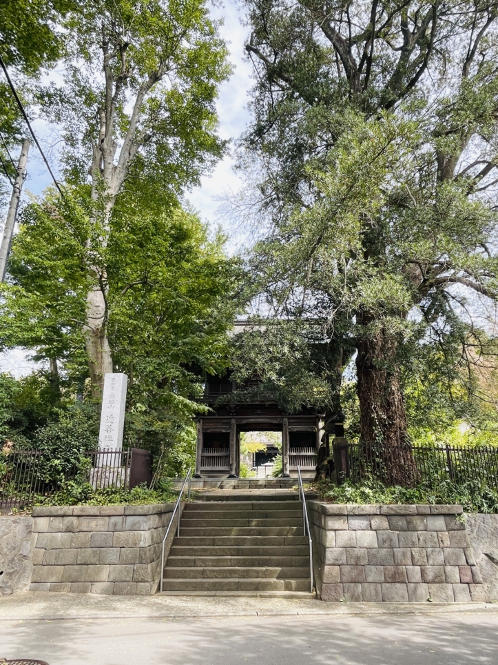 【瀬谷区】徳善寺