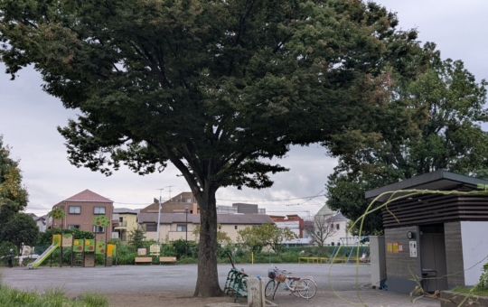 綱島駅近くの公園